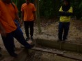 Tn DSC 3599
